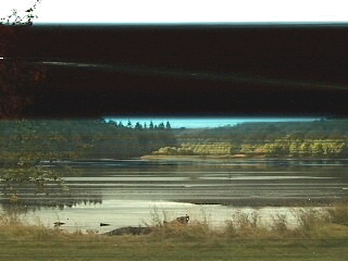 glenlandia image of Loch Faskally