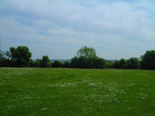 The meadow viewed from the site