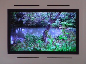 Photo of LCD screen embedded in the wall of the classroom showing a live camera view of the lake